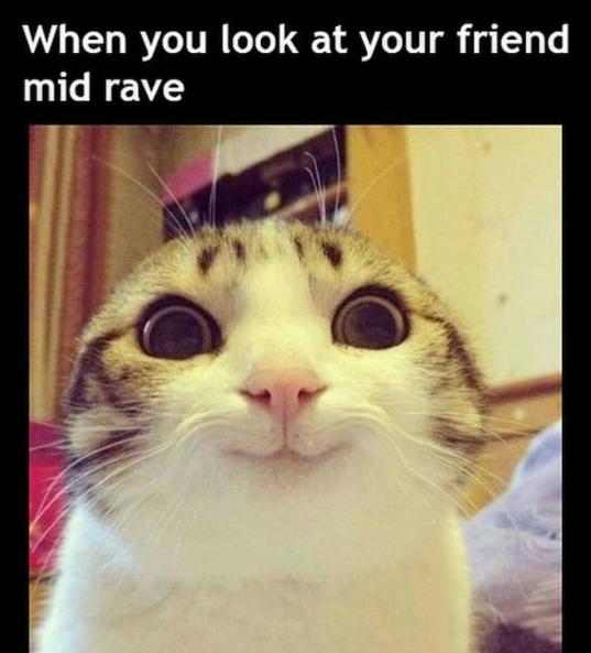 WorldOfRave's tweet photo. 🤣😂🤣

#worldofrave #slipshouse #ravehouse #slipstore https://t.co/fxStbZvyV2