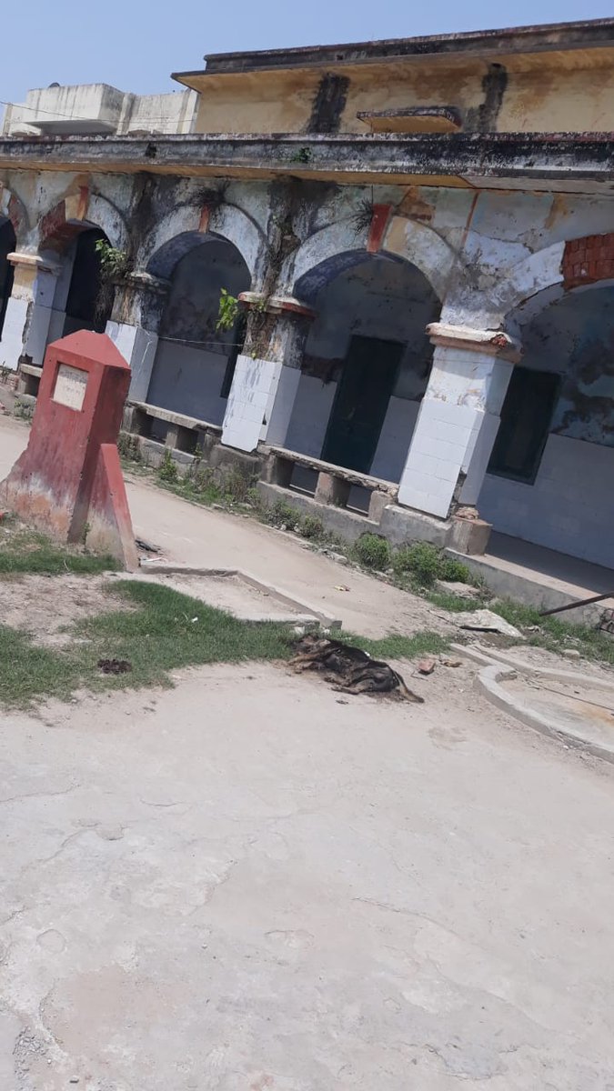 mr_zero_here's tweet photo. सर, यह चित्र कही और कि नही, यह जिला स्वास्थ्य समिति के मुख्य द्वार (सदर अस्पताल, छपरा)के सामने की है, यहाँ यह कुत्ता पिछले 3 दिनों से मृत परा है, आस पास बैठना तो दूर खड़ा रहना मुश्किल है, क्या यह हमारे स्वास्थ्य विभाग की व्यवस्था को दर्शाता है?
@Saran_dm @nildeoreIAS https://t.co/4w734c8KT1