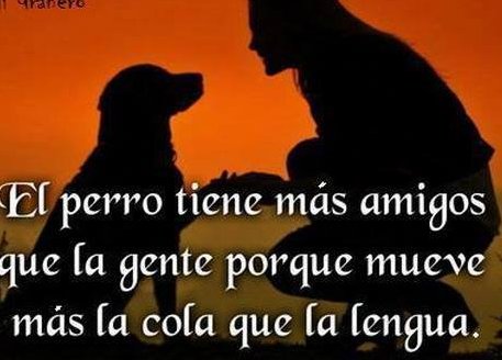 The dog has more friends than people
because he moves his tail more than his tongue.