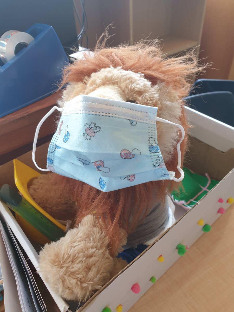 armstrong_hamza's tweet photo. Rasheed has returned from his adventures in New York City. The children are reminding each other to keep his mask on because he was in another country. #firstgradephonics #TCRWP #rasheedthelion https://t.co/OKVxUNaoSd