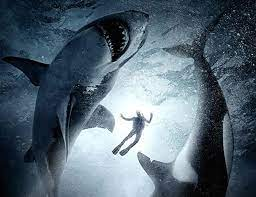 merlinpapin3's tweet photo. Vu le film #GreatWhite de #MartinWilson (2020) avec #KatrinaBowden #KimieTsukakoshi #TimKano #AaronJakubenko #TeKoheKuhata #TatjanaMarjanovic et #JasonWilder

@Jouxplane83 @FredOL69007 @tbarnaud https://t.co/P6F0pw2fx2