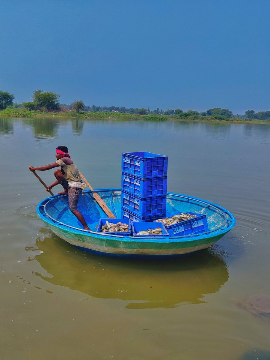 AkhilShatagni's tweet photo. My village fishing series 🎣🛶
#mrugashirakarthe
.
.
#shotononeplus #shotonphone
#YourBestShot #fishing #fishingboat #telangana #mobilephotography #fishing🎣 #villagelife #villagevibes #villagephotography #work #villagework #rurallife #ruralvillage https://t.co/6Vm414O4zs
