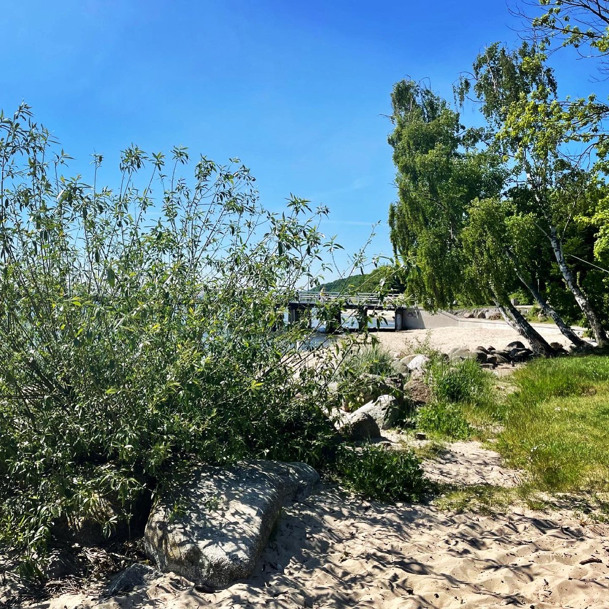 KarenPatrycja's tweet photo. Wiosenne Orłowo 💚💙🌊☀️#gdynia #Poland #wiosna #spring #NaturePhotography #nature #orlowo #gdyniaorlowo #balticsea #morzebaltyckie https://t.co/LllmZDSrY9