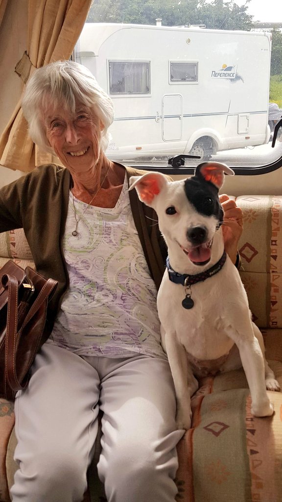 FinnPossible's tweet photo. I miss her every day. She was one of the most amazing people I've had the privilege to know. She was a best friend, second parent, and fantastic grandmother all in one.

Here's one of my favourite pictures of her and my pup, Kara
Kara and Nan absolutely adored each other 💖💖💖 https://t.co/xl8lYaG8F0