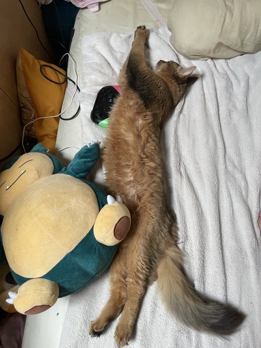 順当に大きくなってるなコイツ。 