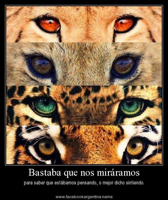 Bastaba que nos miraramos para saber que 
estabamos pensando, o mejor dicho sintiendo.