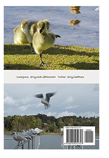 MyriadPhoto's tweet photo. Nature lined Notebook with cover images of an Eagle Owl, Grooming young swan, goslings & black headed gull. Write your notes in style!
https://t.co/RMmusQpE4Y
#naturenotebook #owls #wildlife https://t.co/2Xg9qOJkLz