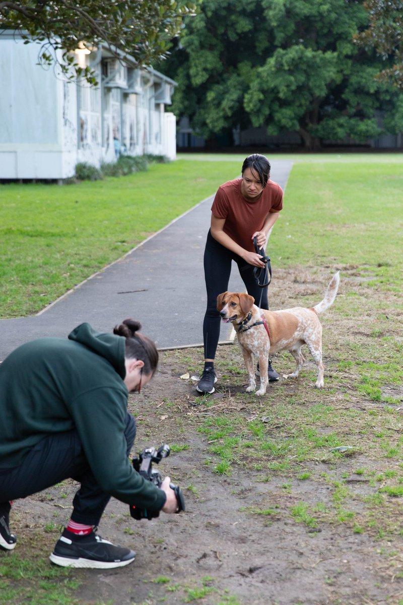 Breathing Corpses trailer drops this week... Stay tuned 👁...