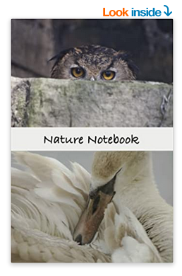 MyriadPhoto's tweet photo. Nature lined Notebook with cover images of an Eagle Owl, Grooming young swan, goslings & black headed gull. Write your notes in style!
https://t.co/RMmusQpE4Y
#naturenotebook #owls #wildlife https://t.co/nlHTP7HJmp