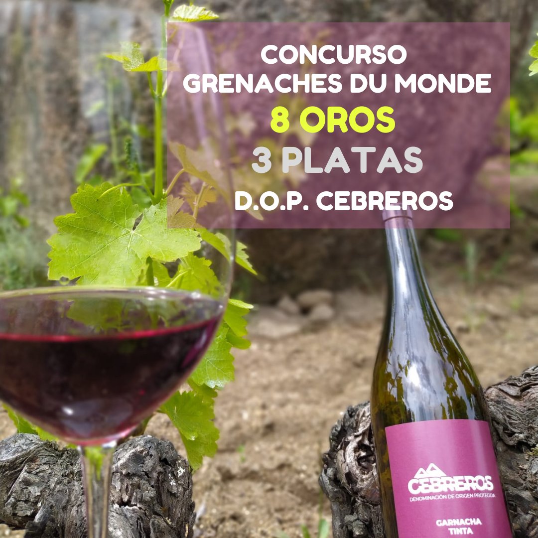 D.O.P. Cebreros tweet media