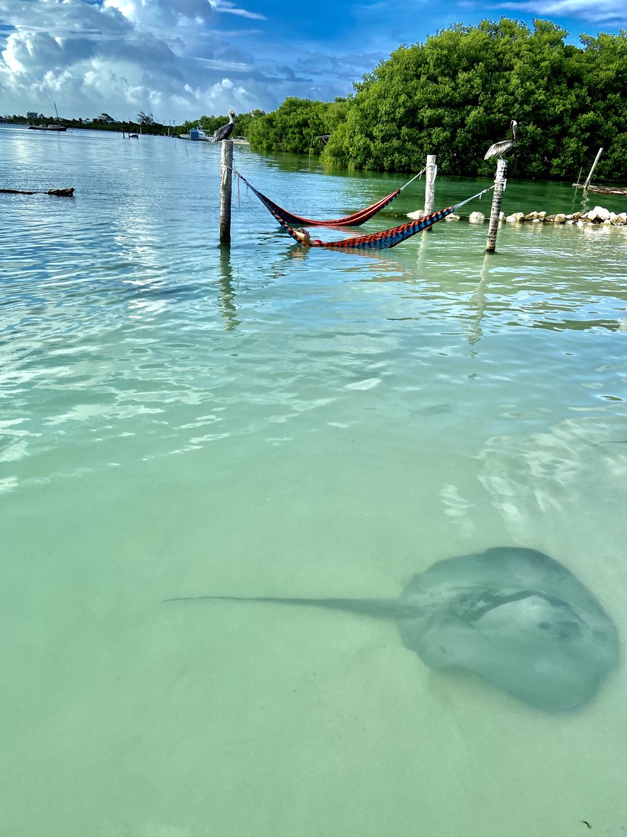 AmandaWatson143's tweet image. Sometimes life is truly surreal. #homewardbound #longweekend #packitin