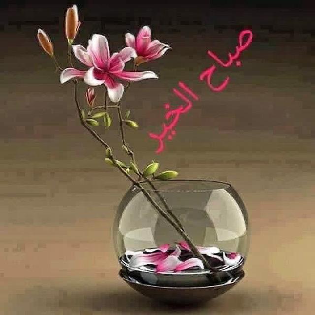 يسعد صباحكم احبتي بكل الخيرات والمسرات 🙏🙏🙏❤️❤️❤️