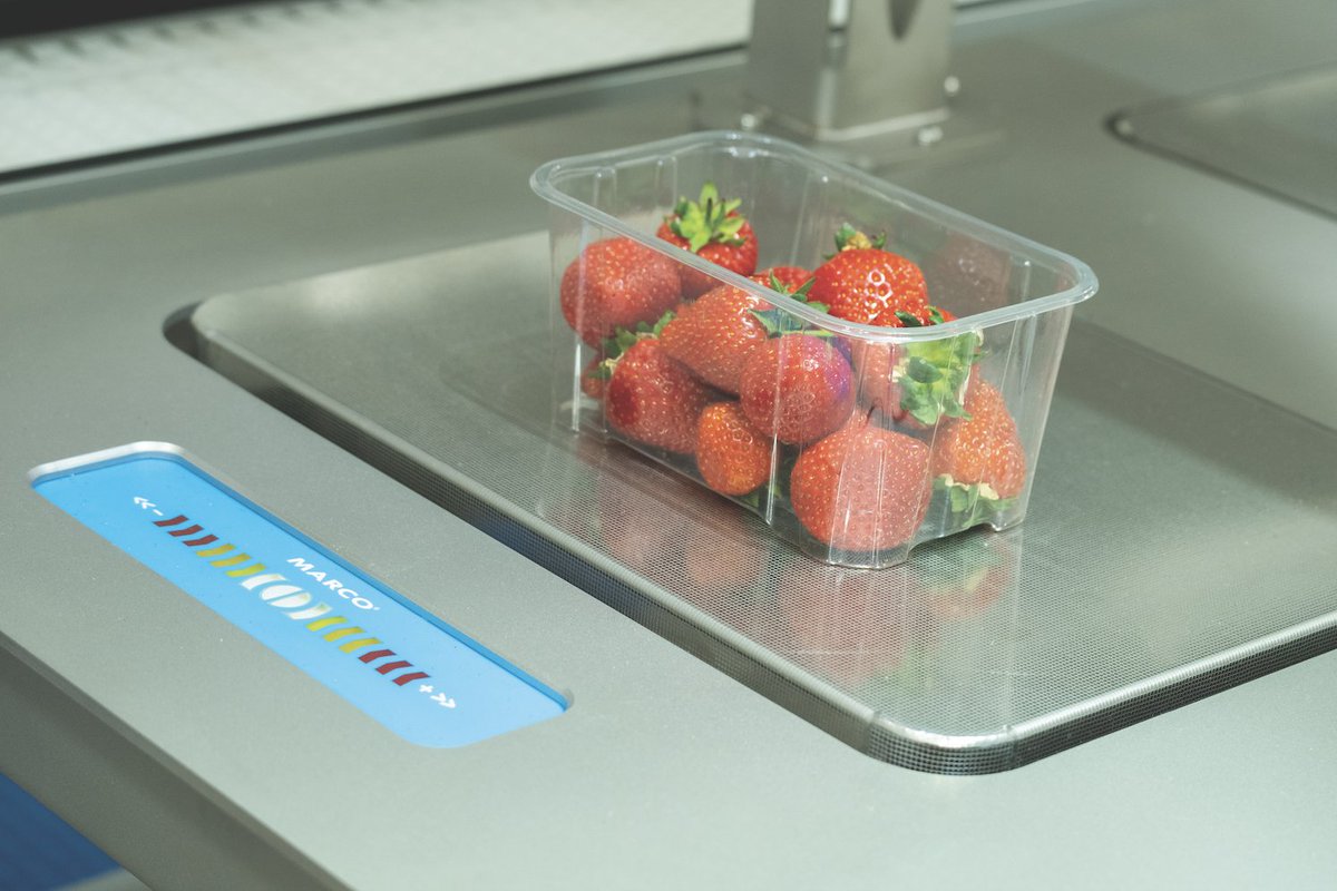 MARCO_Limited's tweet image. By just packing to the green light workers can put greater focus on quality. This is vital when packing fragile produce such as softfruits.
marco.co.uk/soft-fruits-in…
#berrypacking #packingsystems #packingline