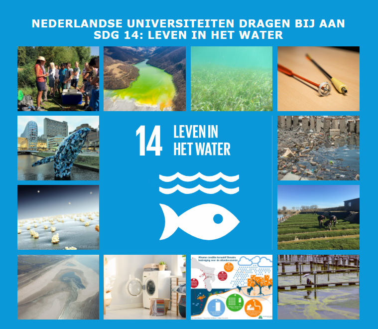 Universiteiten van Nederland tweet media