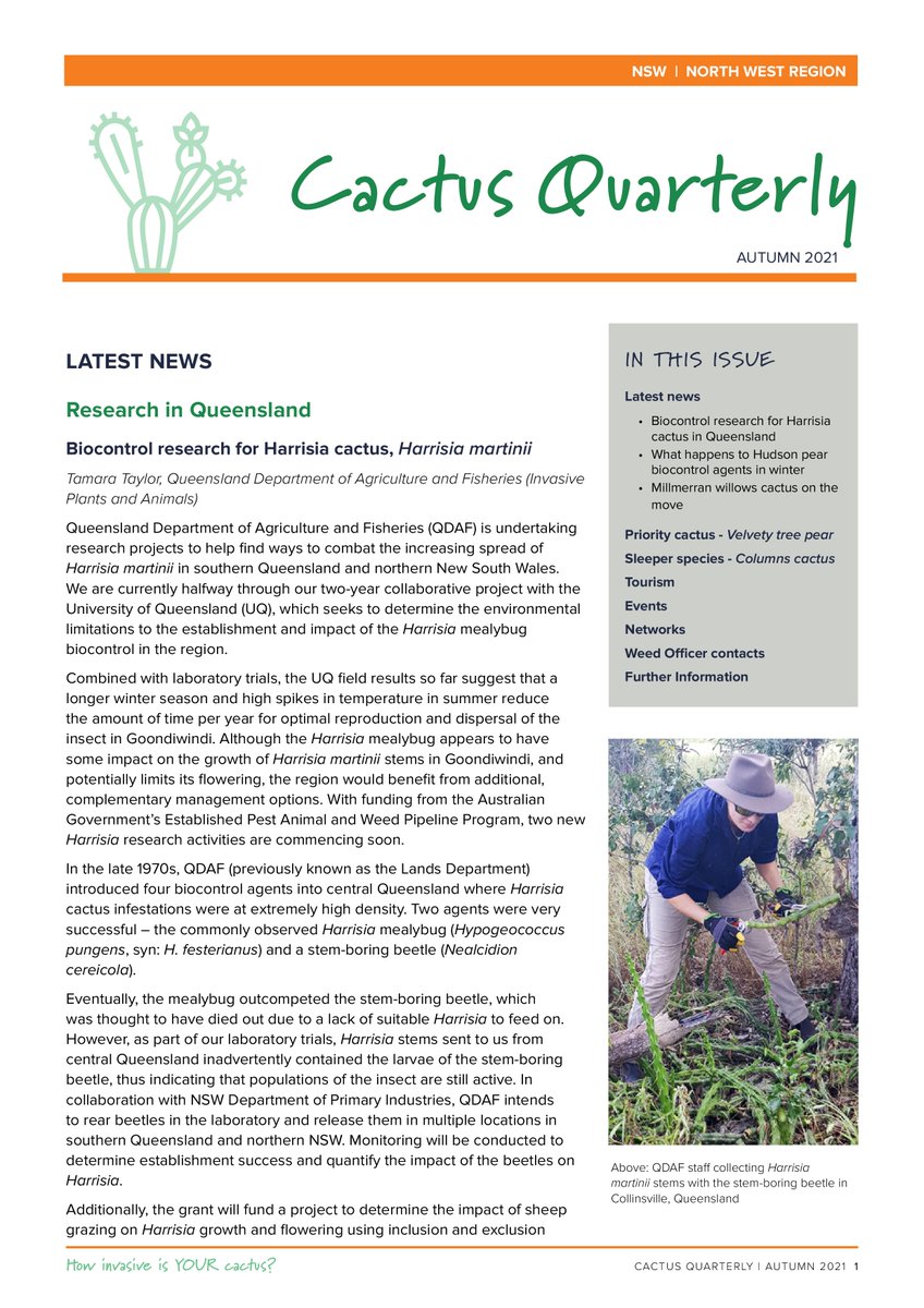 Northern Slopes Landcare - Cactus Quarterly northernslopeslandcare.com.au/cacti/cactus-q… via @BowThemes