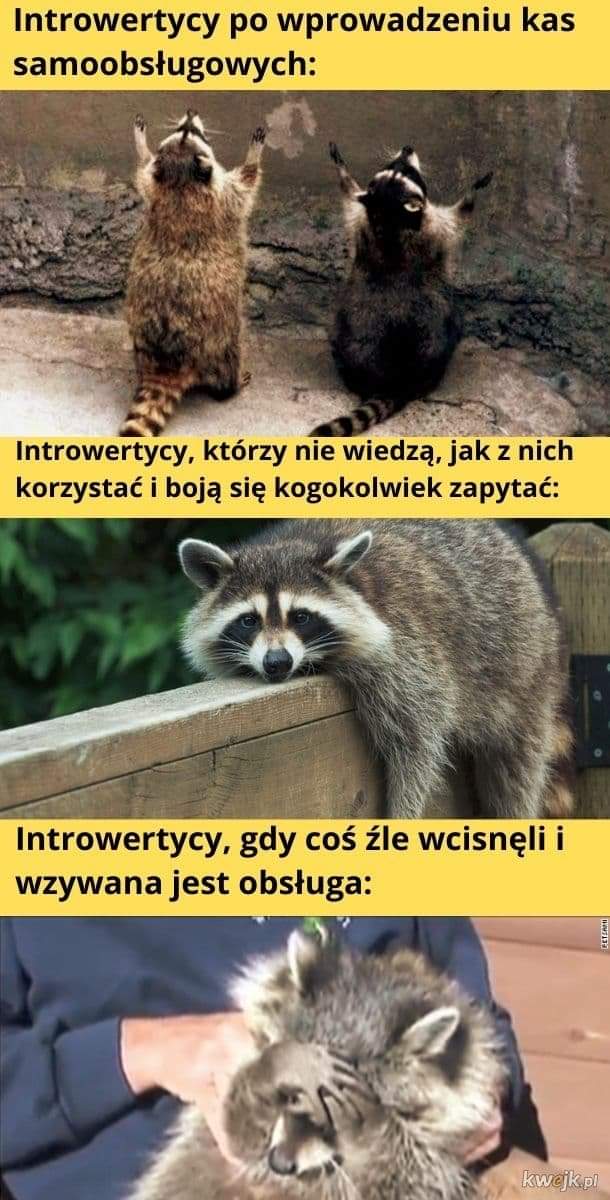 K_Paczkowski's tweet photo. Dzień dobry @andrzejmh https://t.co/5mIesupVjS
