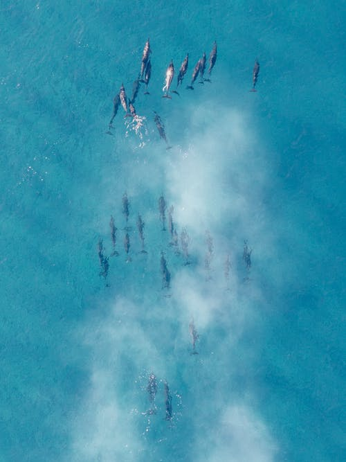 Seaworld_NFT's tweet photo. Our planet is our home.
Blockchain should do something for it.
JUST LIKE WHAT WE GONNA DO.
@binance @PancakeSwap #BSC #PancakeSwap 
#Earth #Seaworld https://t.co/wbaPEMzK7Z