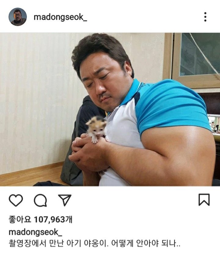 짤백업용 on Twitter: 짤백업용 On Twitter: