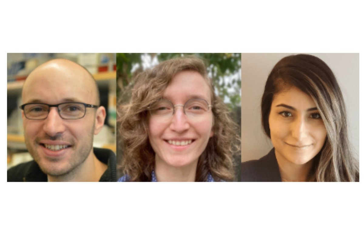 Lund_Stem's tweet photo. Wednesday 16th June is our 𝗬𝗼𝘂𝗻𝗴 𝗜𝗻𝘃𝗲𝘀𝘁𝗶𝗴𝗮𝘁𝗼𝗿 𝗦𝘆𝗺𝗽𝗼𝘀𝗶𝘂𝗺 where the first authors of high impact publications have the opportunity to discuss their inspiring research.

����𝗻𝘃𝗶𝘁𝗲𝗱 𝘀𝗽𝗲𝗮𝗸𝗲𝗿𝘀:
Adam Wilkinson, Sabina Kanton &amp; Nika Shakiba https://t.co/Icy98nZm7V