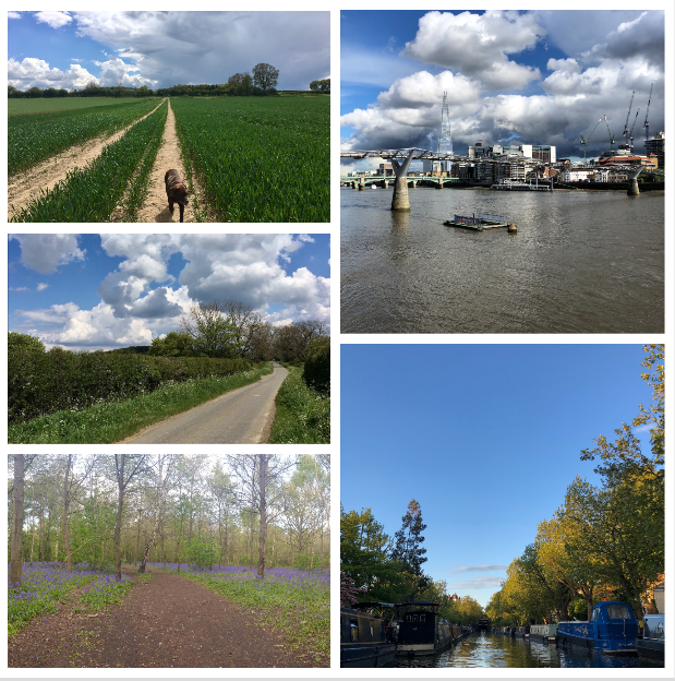 UCLSSEES's tweet photo. We at the School of Some Energetic Excitable Steppers #SSEES enjoyed taking part in #UCLStepschallenge organised by @UCL_Wellbeing. Our 📷 mainly reflect the crazy weather ☔️ 🌤️ We were inspired by @DrRachelMorley and @Ben_H_Noble who in 4 weeks walked 787, 670 steps! https://t.co/QZvziHryZG