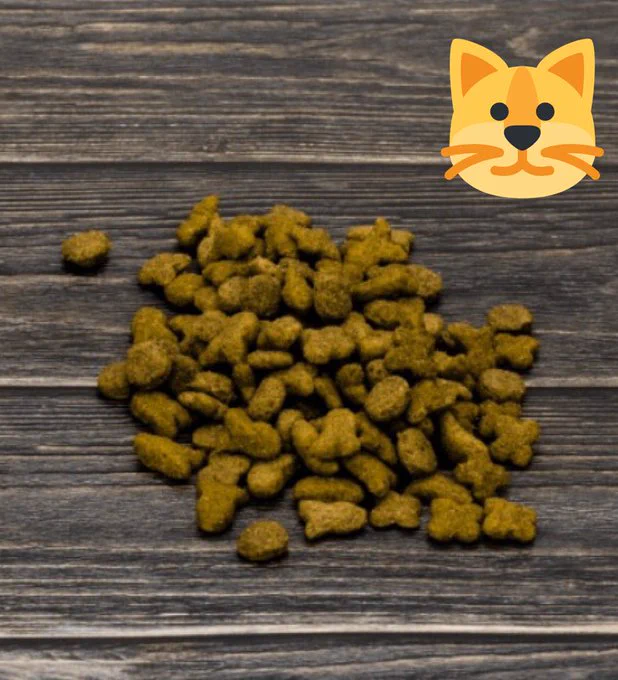 猫は色盲のため？カラフルなキャットフードじゃないほうがいい！