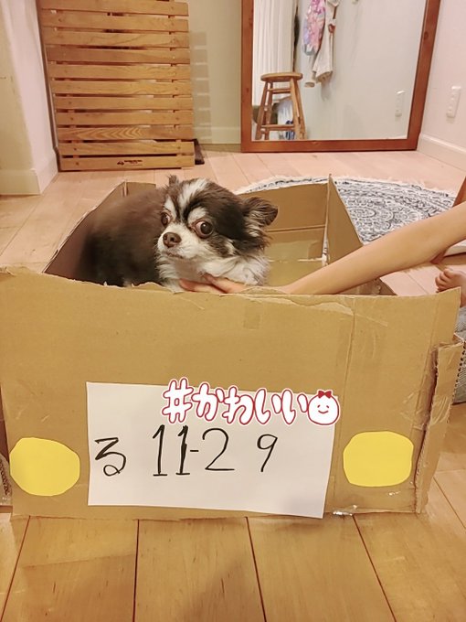 Twitterのコスプレ画像28