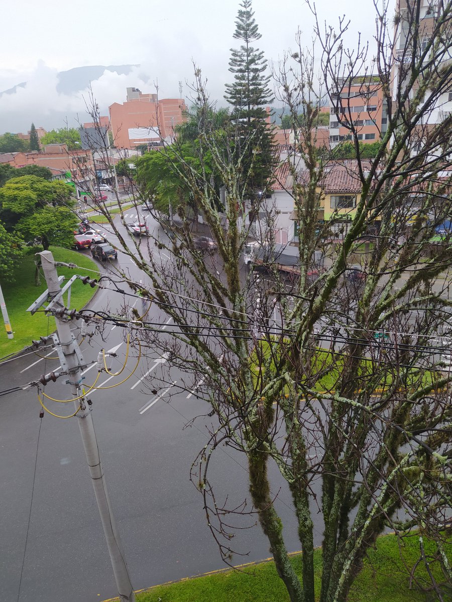 amoj76's tweet photo. @EPMestamosahi @AlcaldiadeMed están en peligro los cables y los ciudadanos. Av 80 entre calle 30 y calle 29.Belen la Palma https://t.co/WDfj7gaDFi