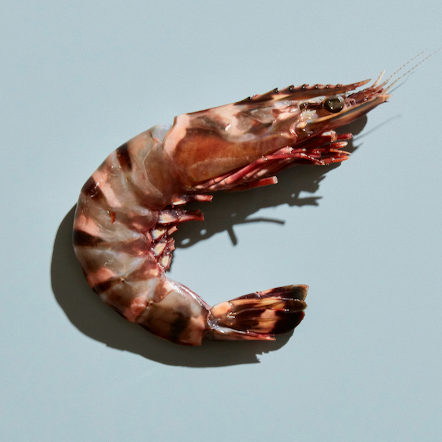 Wild Tiger Prawns. BBQ Ready.