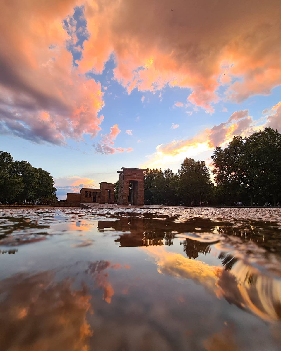 PutoMadriz tweet media