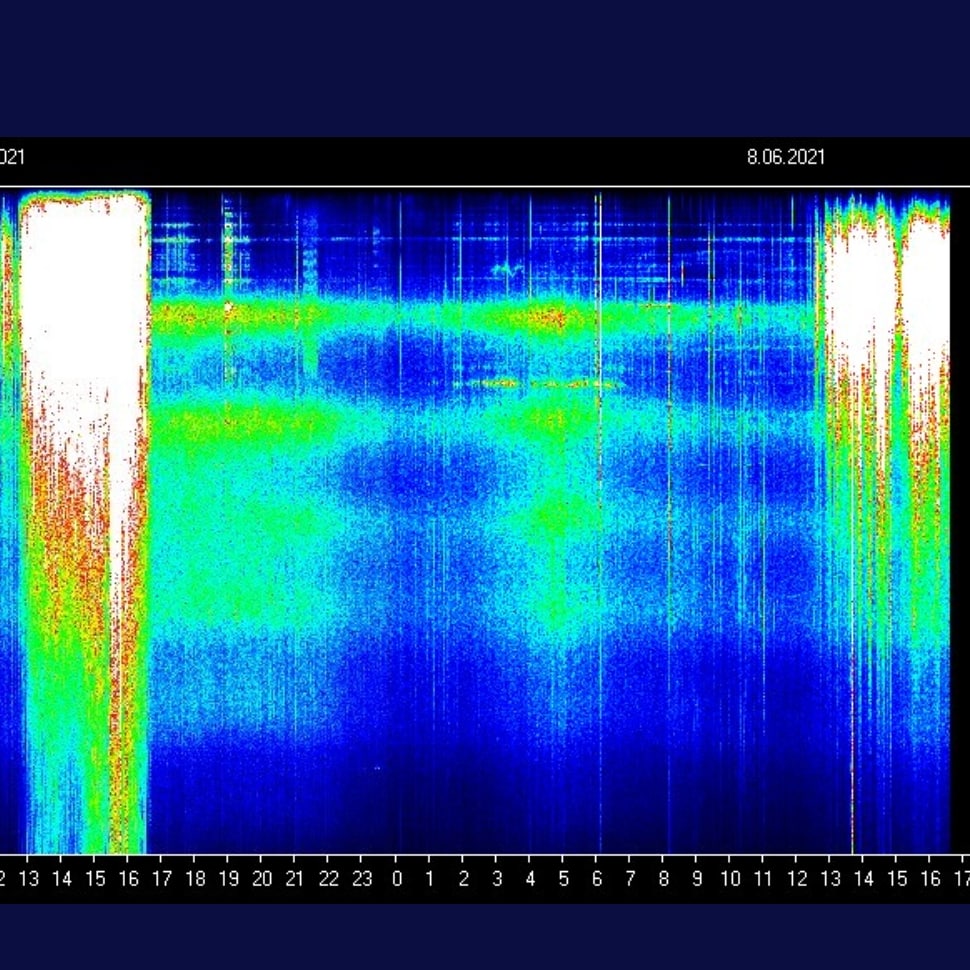 sabientje's tweet image. Angel Wings...🤍⭐🤍