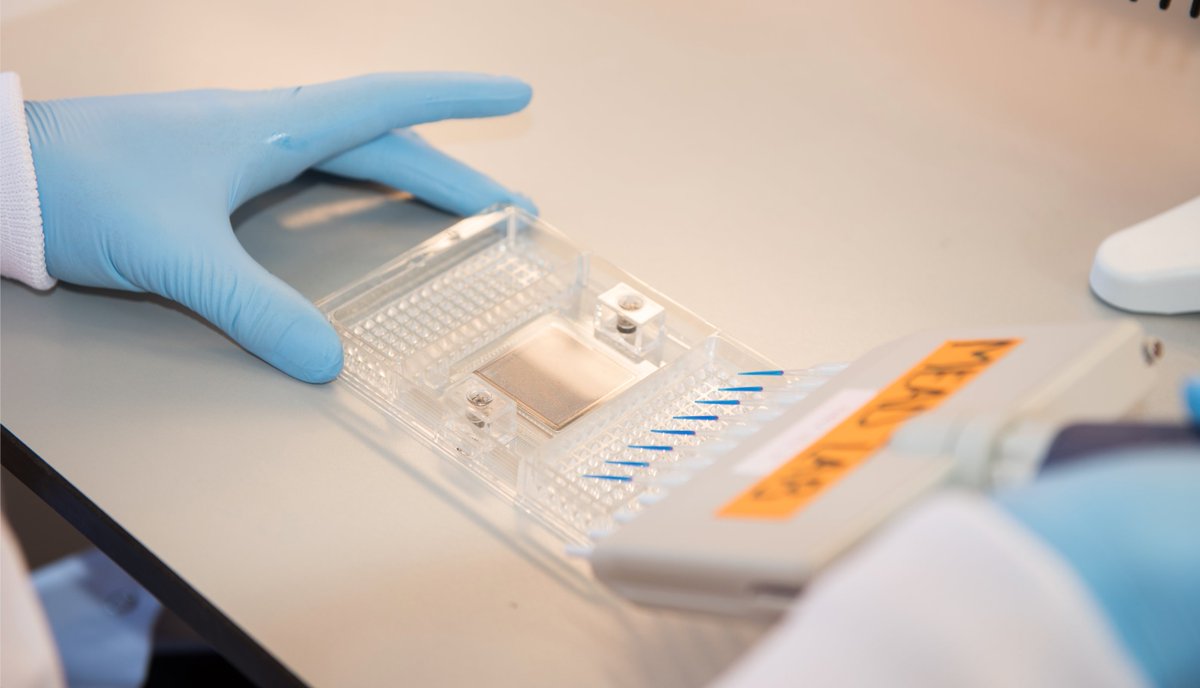 Beth Psaila (@beth_psaila) on Twitter photo Great opportunity for a research assistant to join the <a href="/beth_psaila/">Beth Psaila</a> and <a href="/AdamMead_Oxford/">Adam Mead</a> groups, supporting exciting cancer research <a href="/MRC_WIMM/">MRC WIMM</a> <a href="/UniofOxford/">University of Oxford</a>. More details and apply by 16th June at recruit.ox.ac.uk vacancy ID 149661. Come and join our team! Great opportunity for a research assistant to join the <a href="/beth_psaila/">Beth Psaila</a> and <a href="/AdamMead_Oxford/">Adam Mead</a> groups, supporting exciting cancer research <a href="/MRC_WIMM/">MRC WIMM</a> <a href="/UniofOxford/">University of Oxford</a>. More details and apply by 16th June at recruit.ox.ac.uk vacancy ID 149661. Come and join our team!