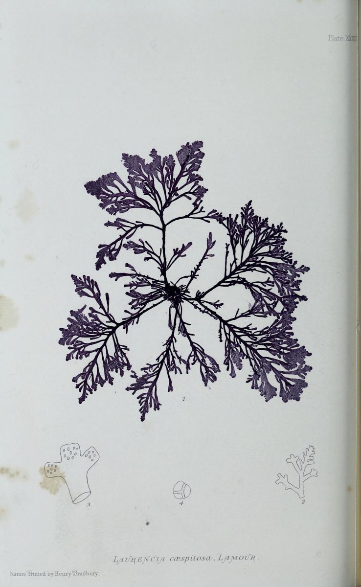 Durham Cathedral Library tweet media