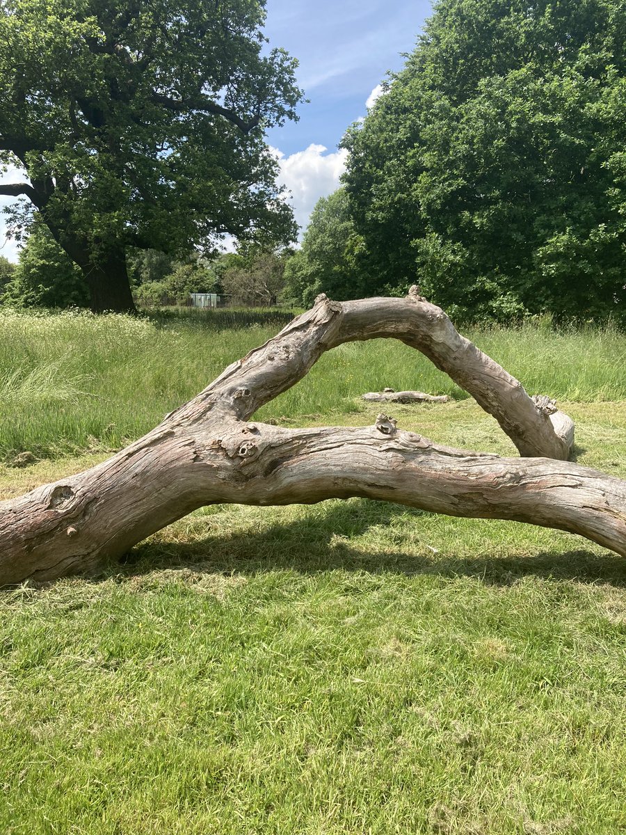 CorinneAvery17's tweet image. I’ve been challenged by @SunshineCJ79 to walk 10K steps every day. So today I got out from behind my desk and explored the grounds of county hall. It’s really quite peaceful #SWfitclub #natureforwellbeing
