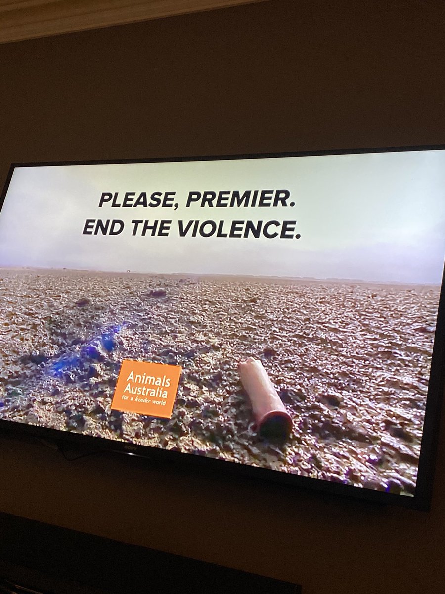 Julia Zass tweet media