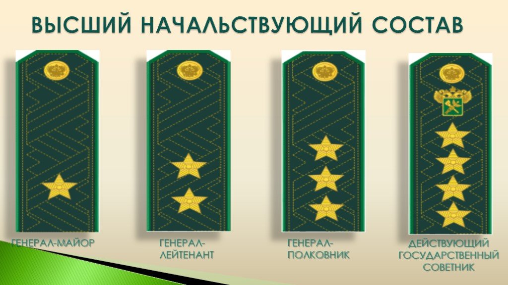 Погоны органов