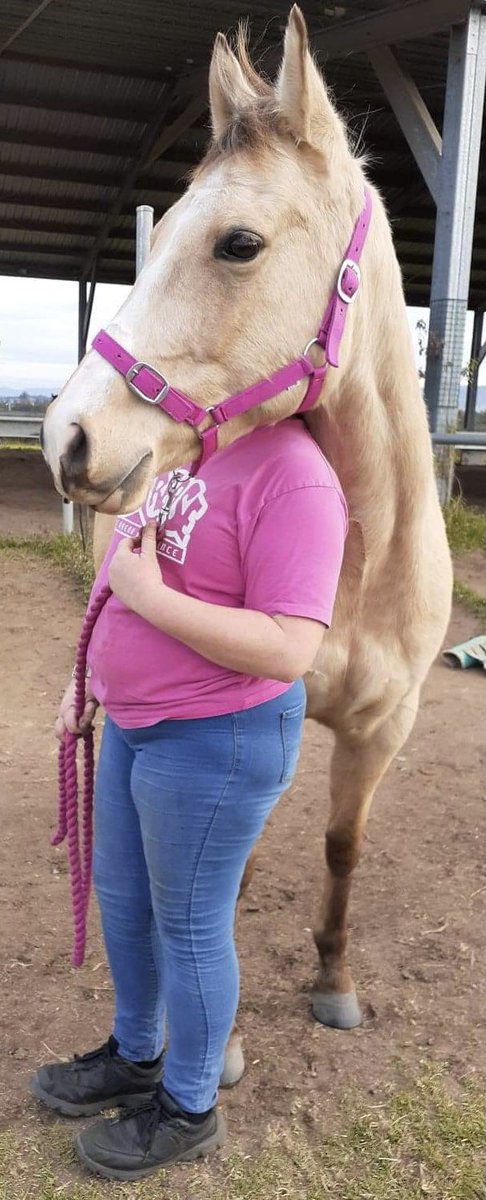 Chuckles201188's tweet photo. So after 8 weeks of not being able to see Melody, I was finally able to go out and see her today 😁😁 I have missed my pony so much and it was great to go out there and be able to do something with her,
I love miss Melody so much and she is the best pony ever 😍😘😍😘 https://t.co/TUZmABUrtQ
