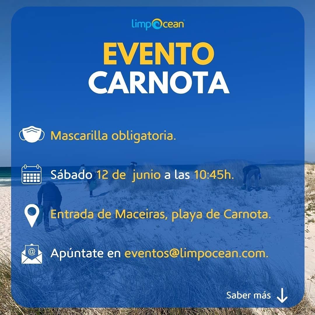 ConcelloCarnota's tweet photo. Hoxe conmemórase o 𝗗𝗶́𝗮 𝗠𝘂𝗻𝗱𝗶𝗮𝗹 𝗱𝗼𝘀 𝗢𝗰𝗲́𝗮𝗻𝗼𝘀. 🌊
De cada un/unha de nós depende a súa conservación.
👉 Recordade que @LimpOcean organiza un evento de limpeza na praia de Carnota o próximo 12 de xuño. Aínda estás a tempo de aportar o teu gran de area.⏳ https://t.co/r3NOJKEOk1