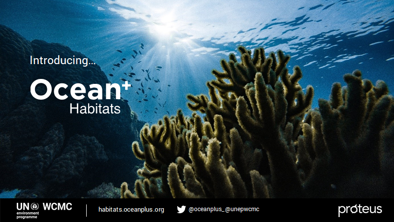 unepwcmc's tweet photo. #KnowledgeForAction 📣
New #OceanPlus platform launched TODAY on #WorldOceansDay 2021! 🌊🐚🦈🐙
👉 Learn more: https://t.co/wasZlGAqoL
@IUCNRedList @GlobalMangroves @OceanPlus_ https://t.co/Oa8EZ3dMx9