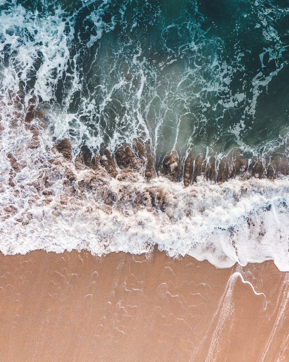 blossomandpreen's tweet photo. On #WorldOceansDay we want to remind you of some swaps you can make in your life to help tackle the issue of ocean plastic. Did you know that 80% of marine debris is plastic? ♻

✅ Reusable straws
✅ Metal bottles
✅ Bamboo cutlery

What are your favourite plastic swaps? https://t.co/nHbOpiYLOn