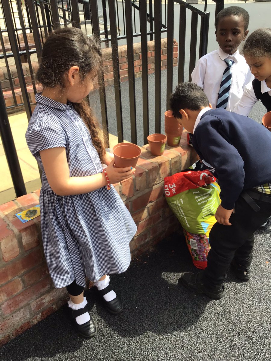 MissDudley6's tweet photo. We planted our sunflowers today. We can’t wait to watch them grow 🌻 I wonder which condition will be the best for our sunflowers? #smithdownscience https://t.co/GPzwYtxLK6