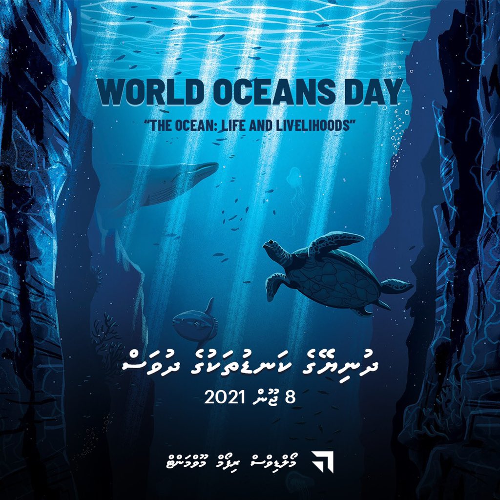 On this #WorldOceanDay let us pledge to protect the oceans from plastic pollution. As a small island nation we cannot afford for the ocean to be polluted and destroyed.
#StopLittering #StopPolluting #ProtectOcean