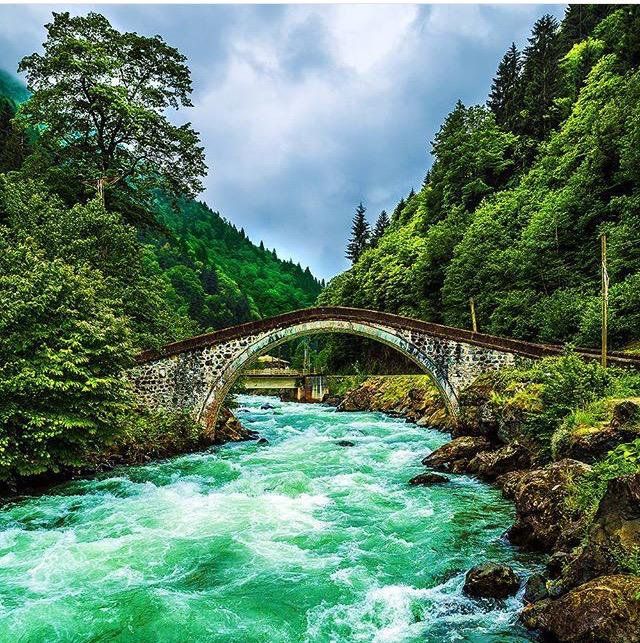 bibliyofileyla's tweet photo. Yeşilin en güzel tonları 💚 https://t.co/MNVY9QvlRk