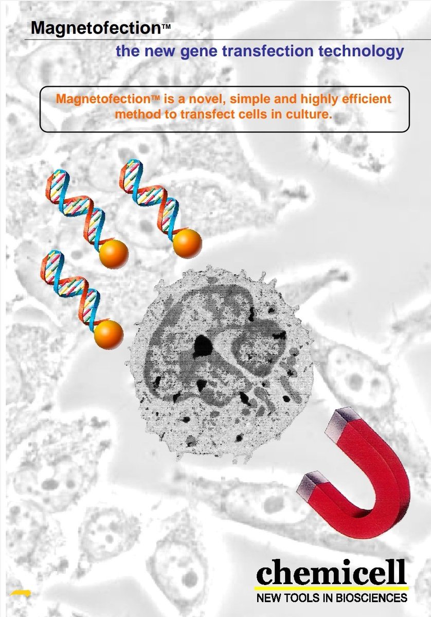 robinmonotti2's tweet image. &quot;#Magnetofection is a novel, simple and highly efficient method to transfect cells in culture. #CombiMAGis a #magnetic  particle preparation  designed to be combined with any commercially available transfection reagent such as polycations and #lipids&quot;
web.archive.org/web/2019123110…