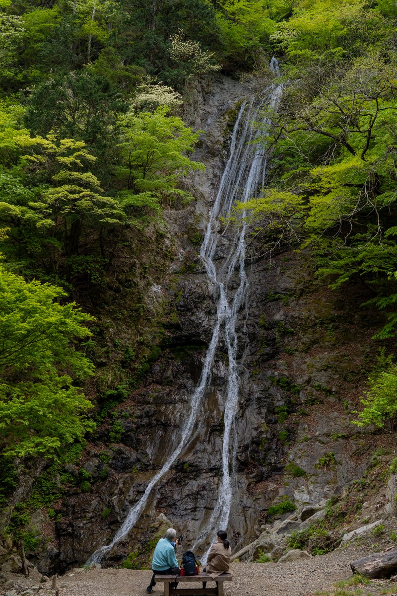 Urame على تويتر 丸神の滝 滝が大きすぎて16mmでも入りきらないスケールのでかさ そして来てた夫婦が素敵でした 東京カメラ部 丸神の滝