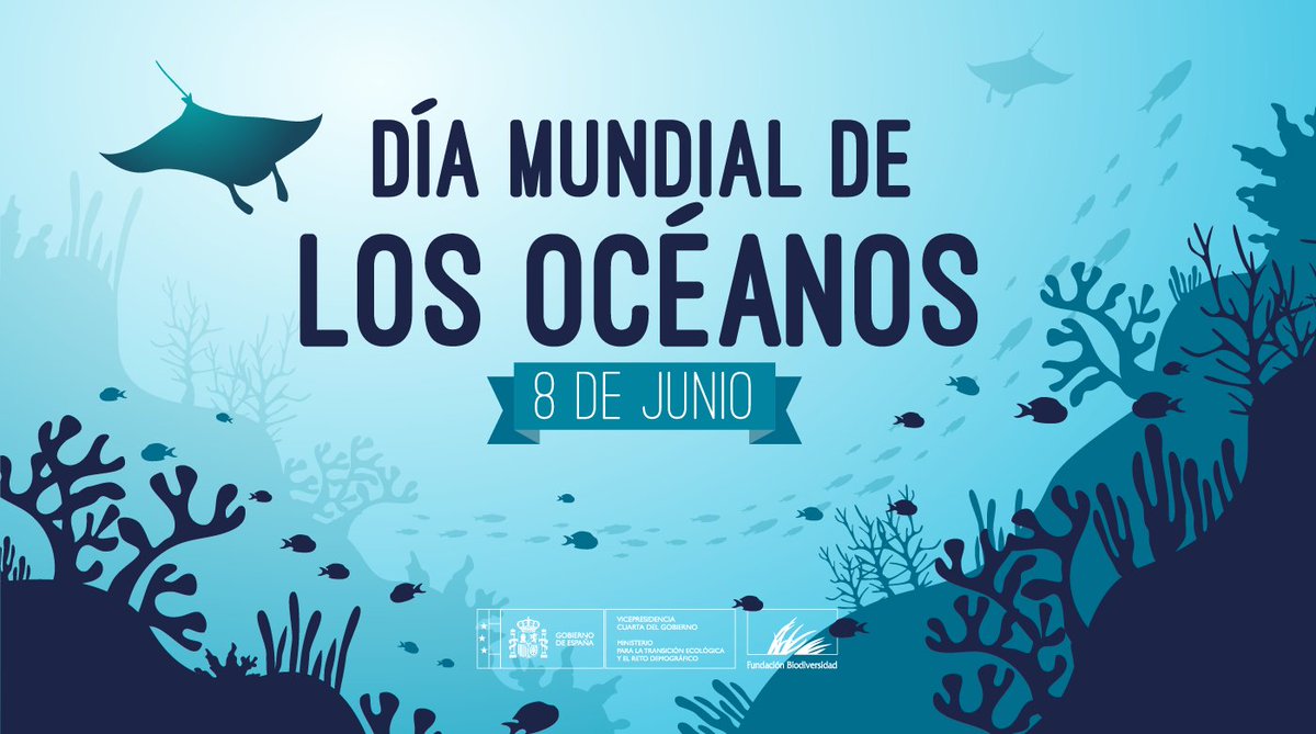 FBiodiversidad's tweet photo. El océano es salud y #biodiversidad:

🌊Constituye ➕ del 90% del espacio habitable.
🐳Contiene unas 250.000 especies conocidas.
💨Absorbe un 26% del CO2 generado por el ser humano.
🌡️Mitiga los efectos del #CambioClimático.
🌬️Produce el 50% del oxígeno.

#DíaMundialDeLosOcéanos https://t.co/oIOCVeKD6x