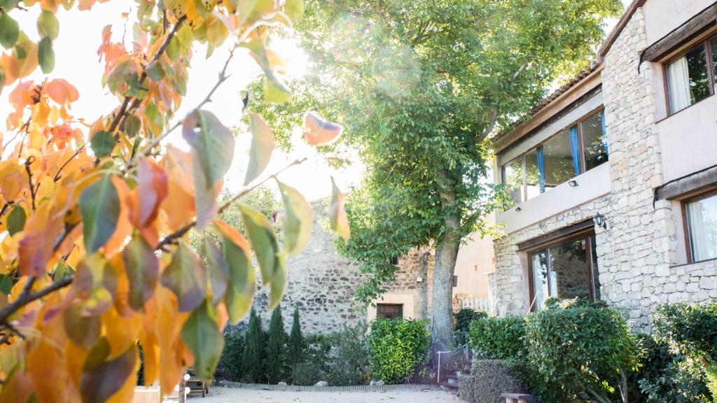 compraengu's tweet image. HOTEL Y RESTAURANTE CARDAMOMO SIGÜENZA.

Pequeño hotel rural, en plena naturaleza, espacios abiertos para disfrutar de un buen atardecer observando el valle del río Salado

compraenguada.es/negocio/hotel-…