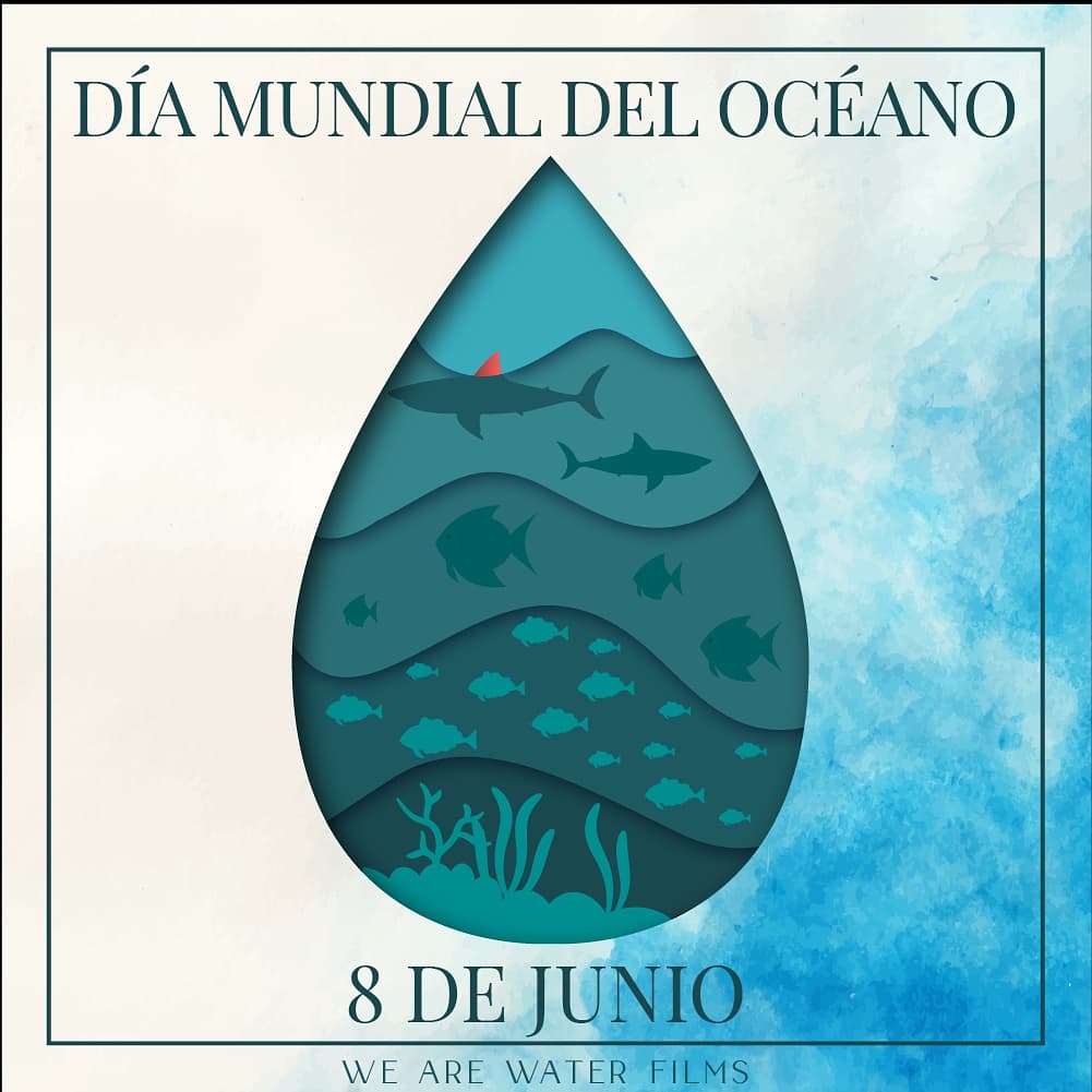 WeAreWaterFilms's tweet photo. Nos proporciona alimento y oxígeno, regula la temperatura, absorbe parte del CO2... en definitiva, hace que el planeta sea un lugar habitable.
Y, por si esto fuera poco, a muchos nos ha regalado los mejores momentos de nuestras vidas 💙. 
¡𝔽𝕖𝕝𝕚𝕫 𝔻𝕚́𝕒 𝕕𝕖𝕝 𝕆𝕔𝕖́𝕒𝕟𝕠! https://t.co/heCzDi1Ykz
