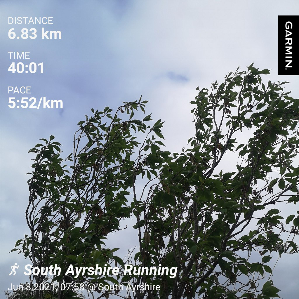 Beerdo_El's tweet photo. Ooft, early runs were never fun for me but needs must π₯΄ #ayrodynamictriathlonclub #notritraining #troontortoises #Goldfrapp https://t.co/R7f729nvzU