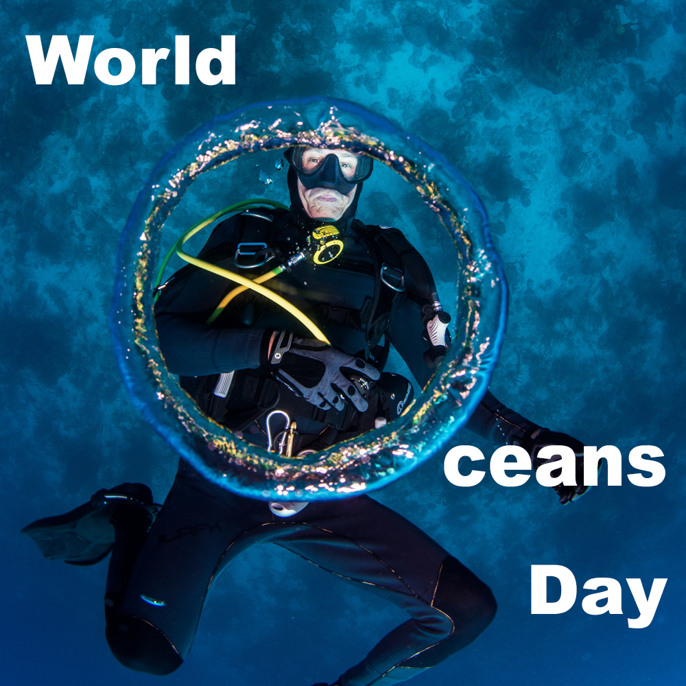 Scubaverse tweet media