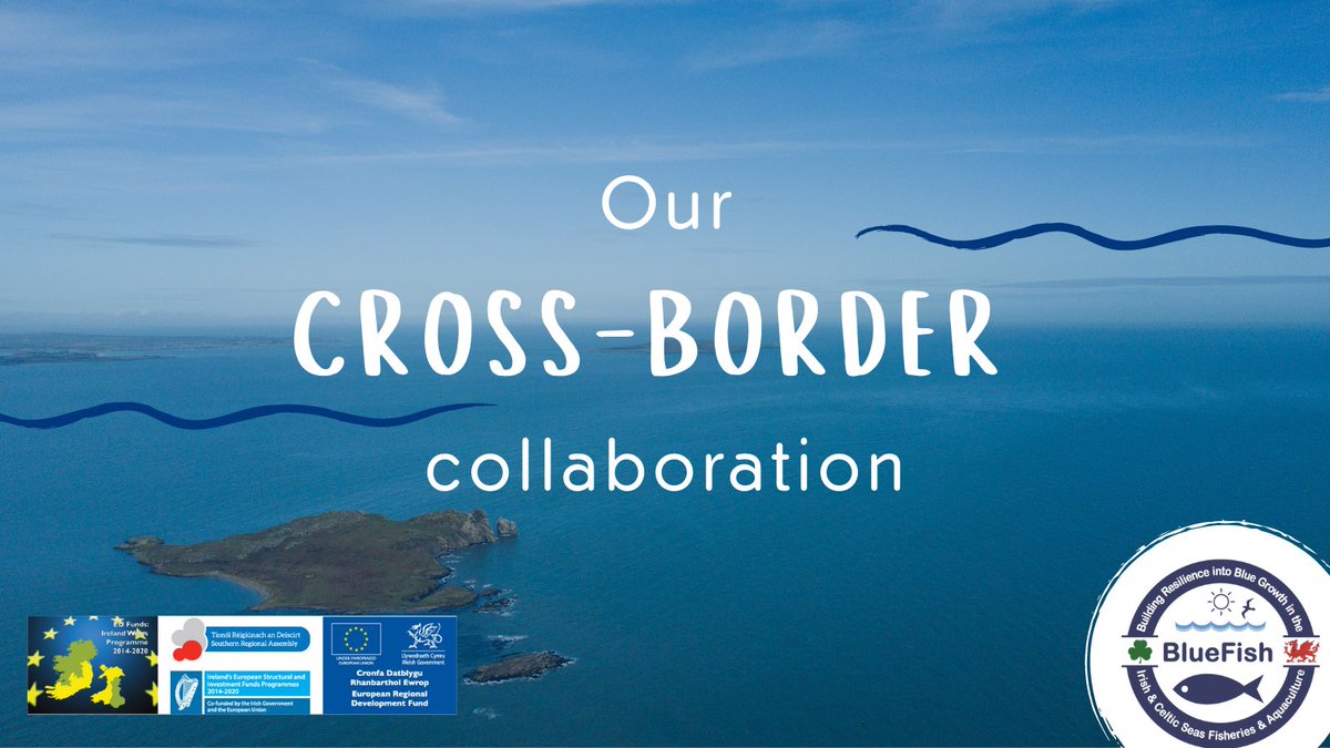 BlueFish_EU's tweet photo. The BlueFish project is about working collaboratively & holistically, uniting experts from 6 institutions to expand our understanding of marine resources within Irish & Celtic seas. Learn more π#DynamicSeas conference, 24 & 25 June: https://t.co/svOeIAIPmu #IrelandWales https://t.co/2eqU2Tvtx6
